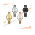 MINI FOCUS Mode Simple Montres Femme